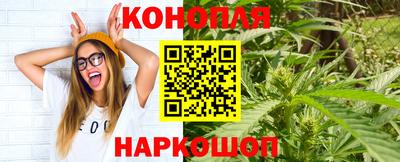 apvp Лесосибирск
