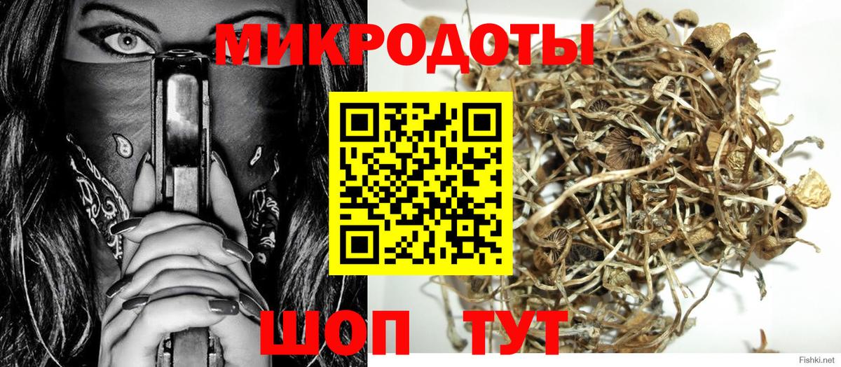 Вольск  Псилоцибиновые грибы мухоморы  Вход с VPN 