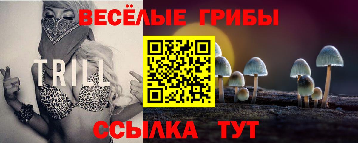 Псилоцибиновые грибы мухоморы Вольск